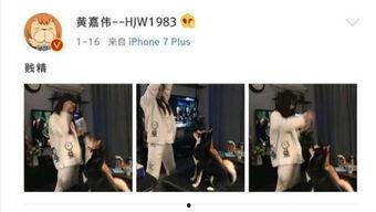 娱乐圈吃瓜小三是谁呀,娱乐圈吃瓜小三是谁？揭秘神秘人物背后的真相